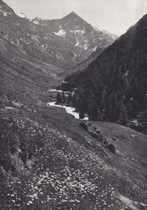 Eastern Alps: In the Windach Tal by Francis Sydney Smythe