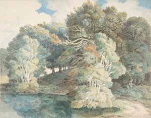 Trees by the Lake, Peamore Park, near Exeter, Devon by Francis Towne
