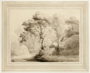 Wooded Landscape