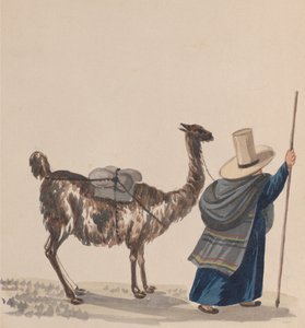 A Woman Walking with a Llama, from a Group of Drawings Depicting Peruvian Costume
