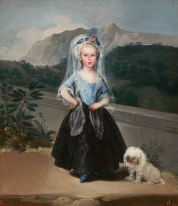 María Teresa de Borbón y Vallabriga, later Countess of Chinchón by Francisco de Goya
