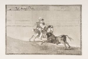 Plate 13 of the 