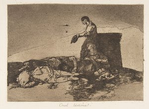 Plate 48 from 
