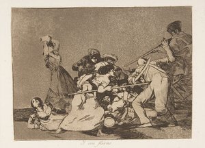 Plate 5 from 