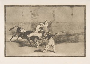 Plate 8 from the 