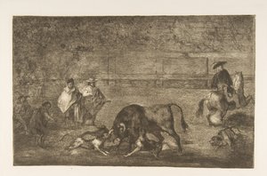 The Dogs Let Loose on the Bull by Francisco de Goya