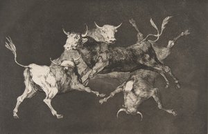 Plate D from the Disparates: Fools-or Little Bulls, ca. 1816-23 published before 1877