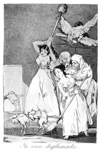 There They Go, Plucked, 1799 by Francisco de Goya