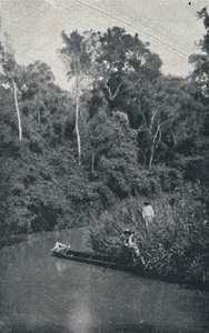 Rio de S. Anastacio by Francisco Henszler