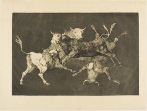 Fool’s Folly, from Disparates