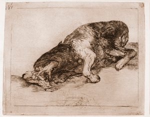 The Disasters of War: Proud Monster! by Francisco de Goya