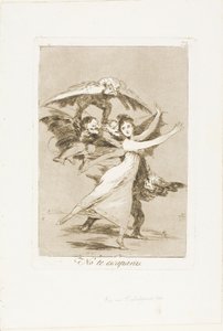 You Will Not Escape, Plate 72 from Los Caprichos by Francisco Jose de Goya y Lucientes