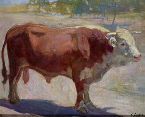 The Yellow Bull