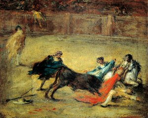 Bullfighting