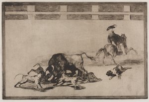 Bullfights: They Loose Dogs on the Bull