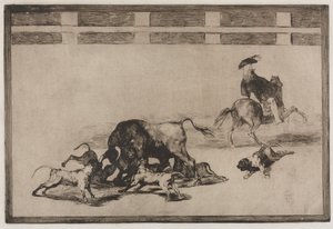 Bullfights: They Loose Dogs on the Bull, 1876
