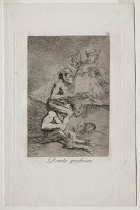 Devout Profession