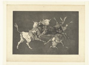 Folly of the Little Bulls