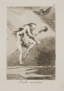 A Handsome Teacher by Francisco de Goya