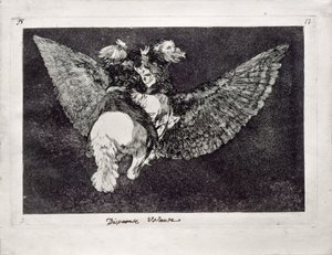 Flying Folly from the Series Los Disparates Follies by Francisco de Goya