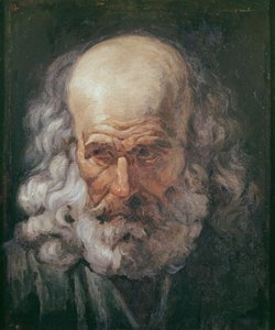 Head of a Philosopher