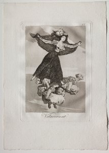 Eighty Caprices: They Have Flown by Francisco de Goya