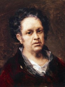 Self-Portrait 69 Years Old by Francisco de Goya