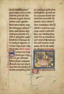 A Hedgehog from a Bestiary Ms Ludwig XV 4, fol. 82, c.1280-1300 by Franco Flemish School