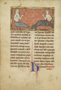 A Siren and a Centaur from a Bestiary Ms Ludwig XV 4, fol. 81v, c.1280-1300 by Franco Flemish School