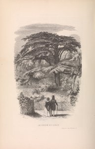 Le Jardin des Plantes, Descriptions et Moeurs des Mammiferes by Francois Boitard