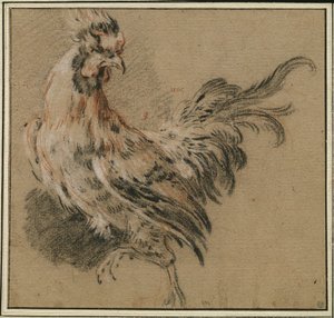 Study of a Rooster by François Boucher