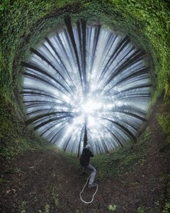 Spiral Forest Path