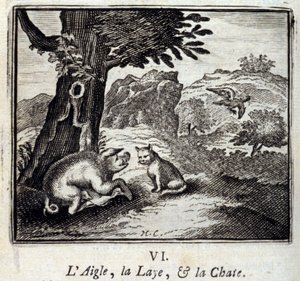 The Eagle, the Sow and the Cat