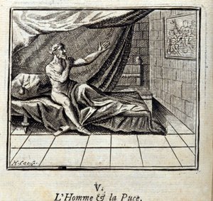 The Man and the Flea