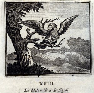 The Kite and the Nightingale by Francois Chauveau