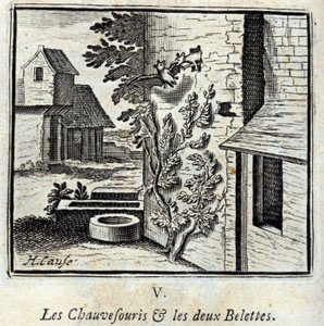 The Bat and the Two Weasels. Fables by Jean de La Fontaine. Illustration by François Chauveau. Edition of 1728 by Francois Chauveau