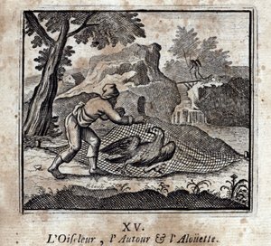 The Birdbird the Around and the Alouette (Illustration by François Chauveau) by Francois Chauveau