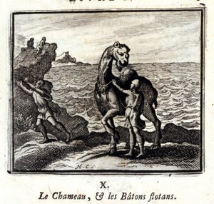 The Camel and the Floating Sticks by Francois Chauveau