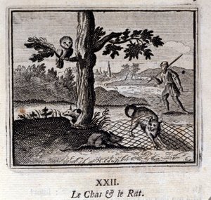 The Cat and the Rat by Francois Chauveau