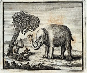 The Elephant and the Monkey of Jupiter. Fables by Jean de La Fontaine. Illustration by François Chauveau. Edition of 1728.