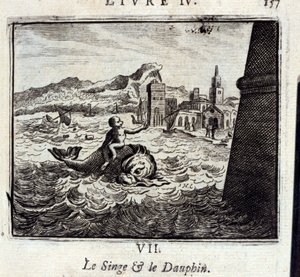 The Monkey and the Dolphin by Francois Chauveau