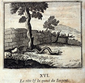 The head and tail of the Snake. Fables by Jean de La Fontaine (1621-95). Illustration by François Chauveau (1613-1676). Edition of 1728