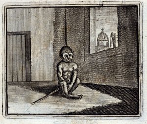The Monkey by Francois Chauveau