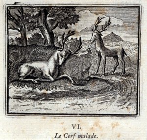 The sick deer (Illustration by François Chauveau) by Francois Chauveau