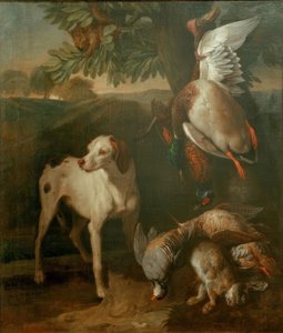 Dog and Game