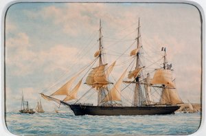 New York Ocean Herald clipper