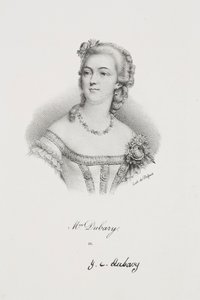 Portrait of Madame Dubary by Francois Seraphin Delpech