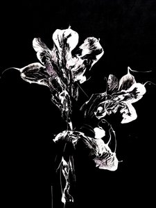 Fluid Dark Blooms by Françoise Wattré