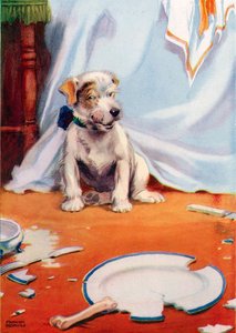 Dog with broken plate