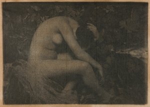 The Cicada by Frank Eugene
